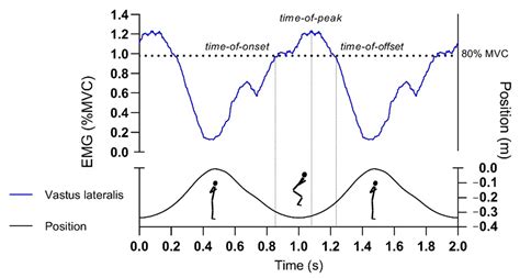 Muscle Activation Sequence in Flywheel Squats