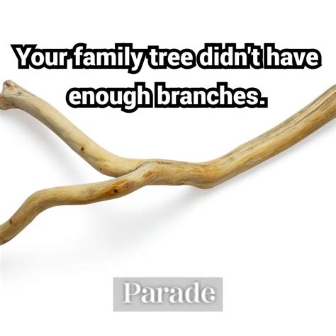 101 Funny Insults to Roast Friends or Frenemies