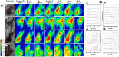 Effects of Long-Term Application of Earthworm Bio-Organic Fertilization ...