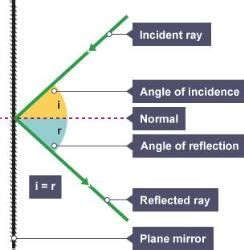 Reflection - Year 7 PDF Download