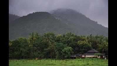 Faulty CRZ implementation: NGT to make Goa example | Goa News - Times ...