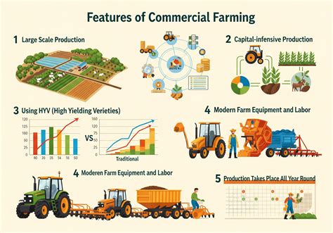 What is Commercial Agriculture: Types and Features