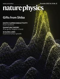 Nature Physics 的图像结果