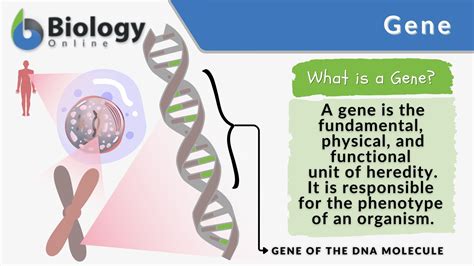 Terminologies In Biology