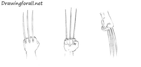 Image result for Wolverine Claws Hand Drawing