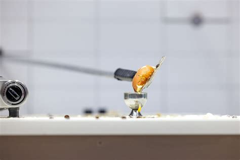 Art Forum with Sam Routledge , Hunter Street and Inveresk Campus ...