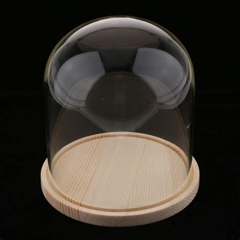 Buy BNF® Wooden Glass Dome with Wooden Base Cloche Glass Cover Flower ...