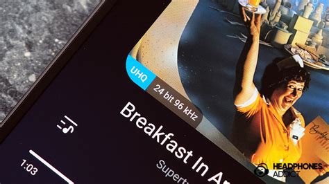 Image result for flac