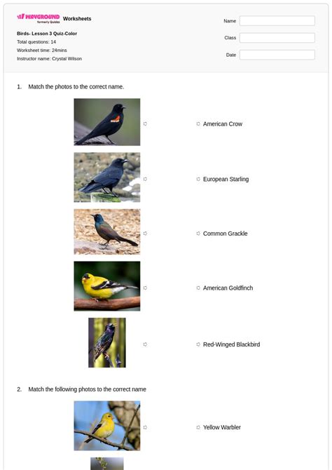 50+ Birds worksheets for Class 3 on Wayground | Free & Printable