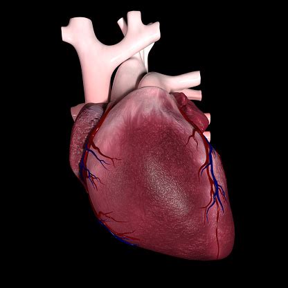 Image result for Heart with Name Using Python
