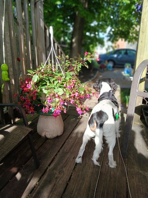 Image result for Ruby Rue