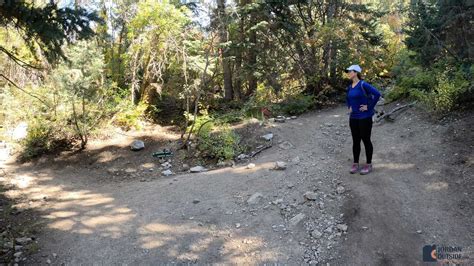 Horsetail Falls Hike from the Dry Creek Trailhead in Alpine, Utah