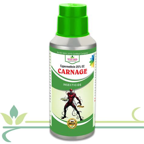 Carnage - Bringing Growth Together