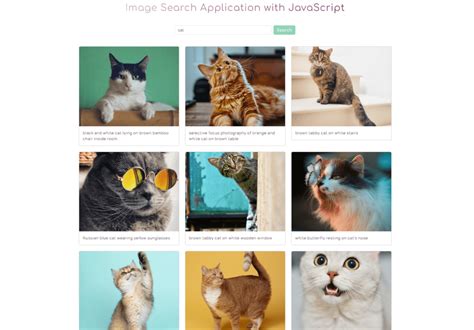 Image result for JavaScript Search App