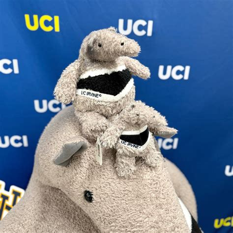 The Hill at UCI | We know you're just as excited as we are! Here are ...