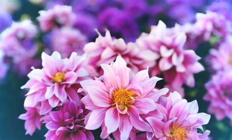 Ligon And Bobo Funeral Home Obituaries & Services In Lebanon,