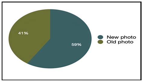 Evaluating Secure Methodology for Photo Sharing in Online Social Networks