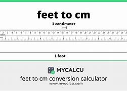 Image result for 06 Feet to Cm