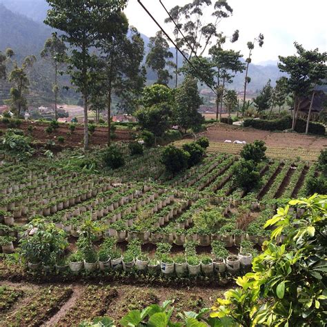 SAUNG GAWIR (Bandung) - Guesthouse Reviews & Photos - Tripadvisor