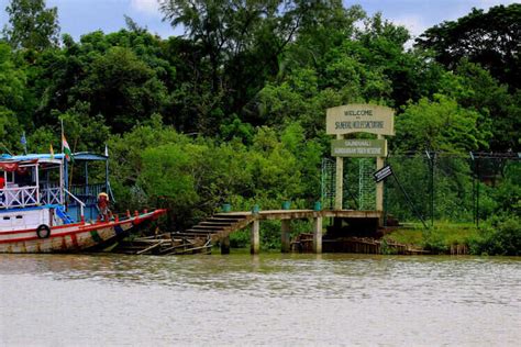 Touring the Sunderbans | Times of India Travel