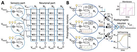 Neuromorphic Analog Machine Vision Enabled by Nanoelectronic Memristive ...