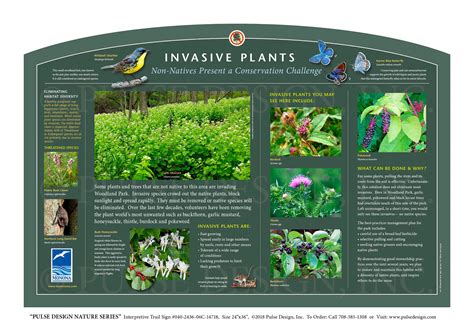 Wisconsin Invasive Plant List