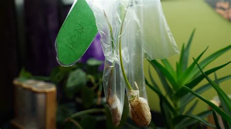 STEM School Programs | The Children's Museum of Indianapolis