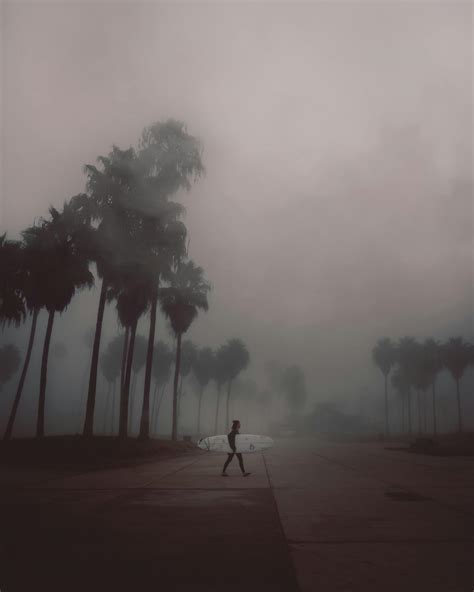 Image result for Humans Hunting Humans