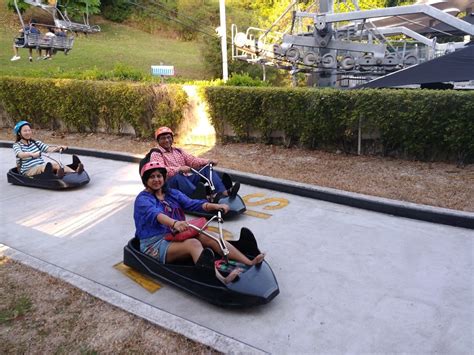 Skyline Luge - Tripopola