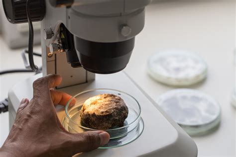 Cell Microscope 的图像结果