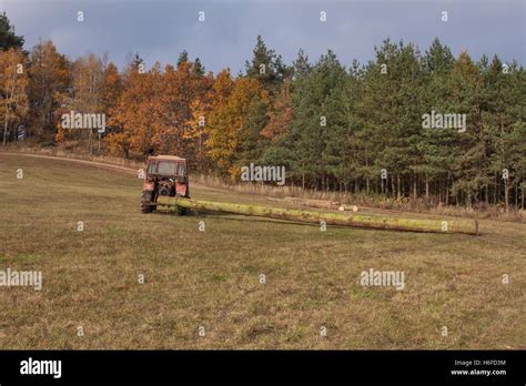 Image result for Tree Remval Tractor