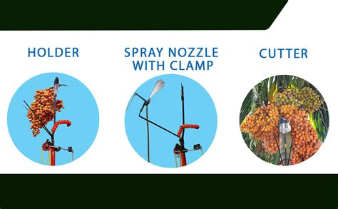 Areca nut Tree Climber Machine (Machine with Cutter) : Amazon.in: Home ...