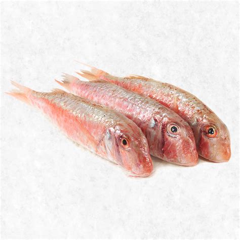 Wild Red Mullet - Seafood Society