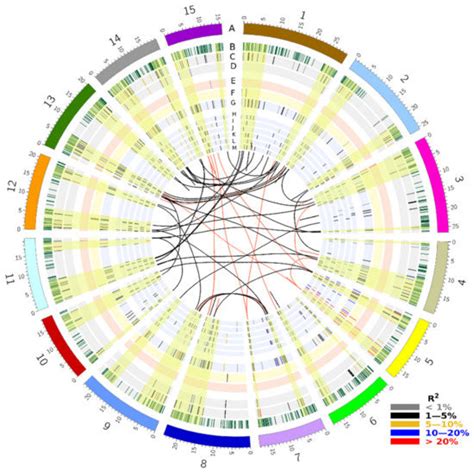 Insights into the Genetic Architecture and Genomic Prediction of ...