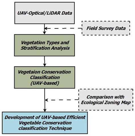 Developing UAV-Based Forest Spatial Information and Evaluation ...