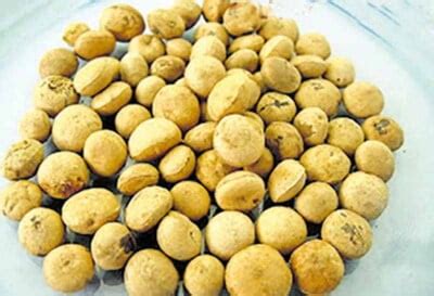Foresty Tree Seeds