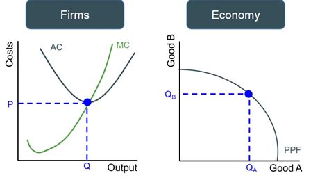 Different Types of Efficiency 的图像结果