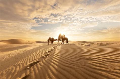 腾格里沙漠在哪里 腾格里沙漠徒步 腾格里沙漠游玩攻略_旅泊网