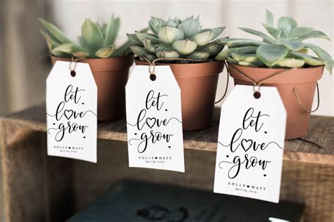 Blossoming Love: Host a "Let Love Grow" Bridal Shower