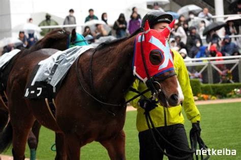 ルーフ (Ruh) | 競走馬データ - netkeiba