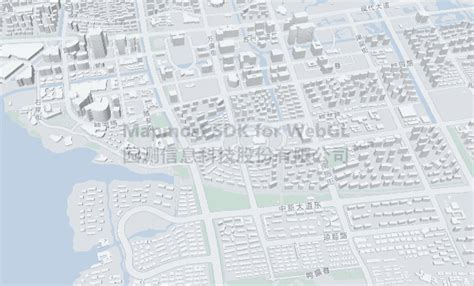 Local Map Generic 的图像结果