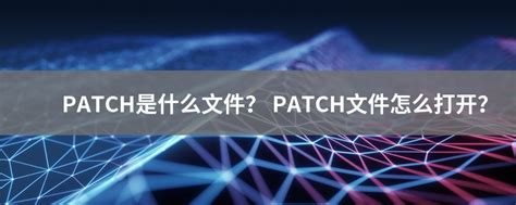Apply Patch File 的图像结果