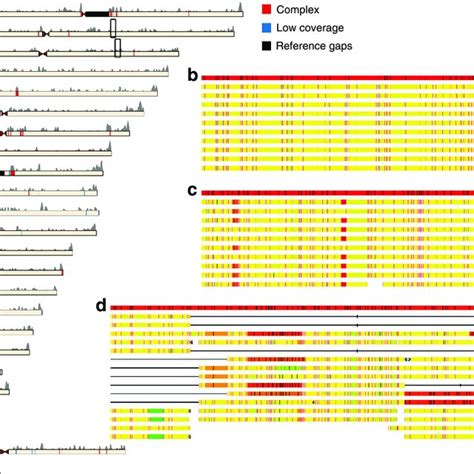 Genome Variation 的图像结果
