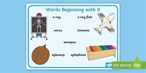 Words Beginning with X - X Words Word Mat - Twinkl English