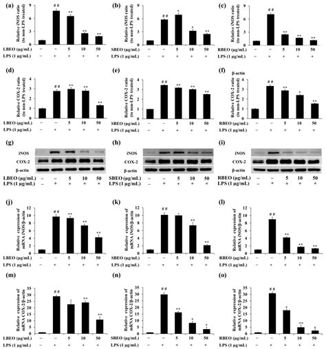 Essential Oils from the Leaves, Stem, and Roots of Blumea lanceolaria ...