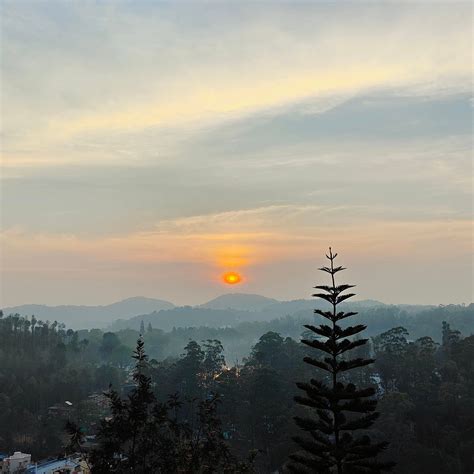 GRAND PALACE RESORT - YERCAUD (Tamil Nadu) - Hotel Reviews, Photos ...