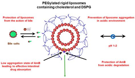 Liposomal Amphotericin B for Treatment of Leishmaniasis: From the ...