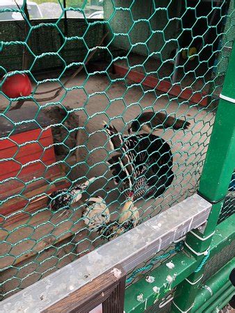 Jeju Rail Park - 2021 What to Know Before You Go (with Photos ...