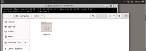 Image result for Remote Debugging Wayland Gnome-Shell