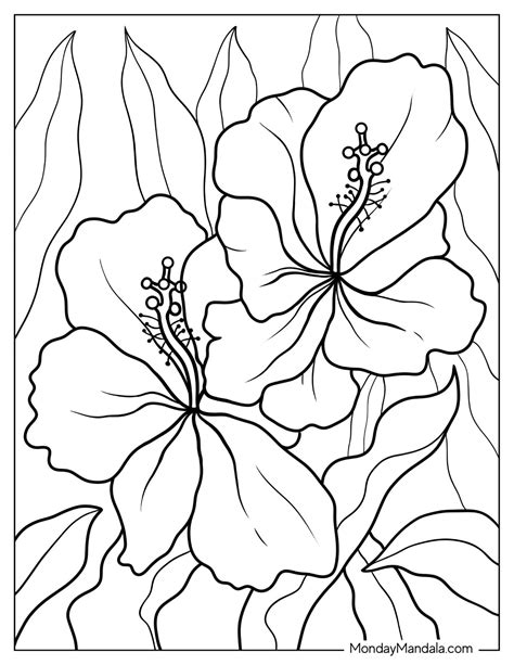 Free large printable flower coloring pages, Download Free large ...